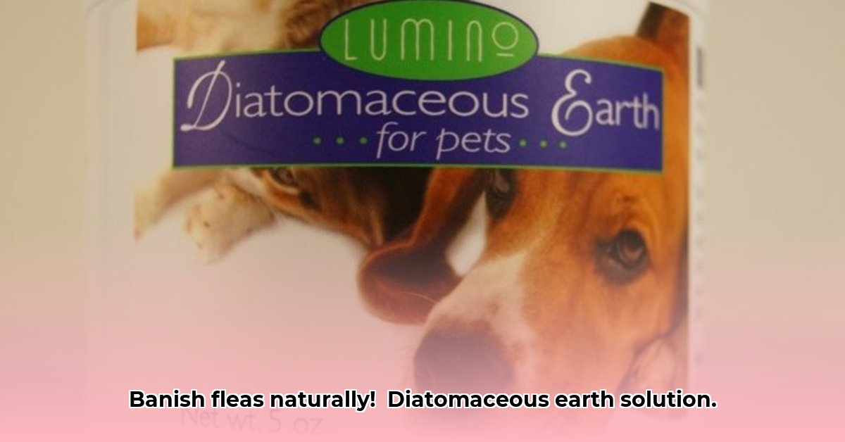 diatomaceous-earth-for-fleas-tractor-supply